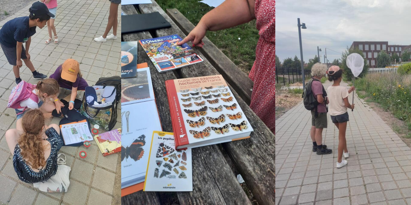 Découvrir la biodiversité de mon quartier à Lille